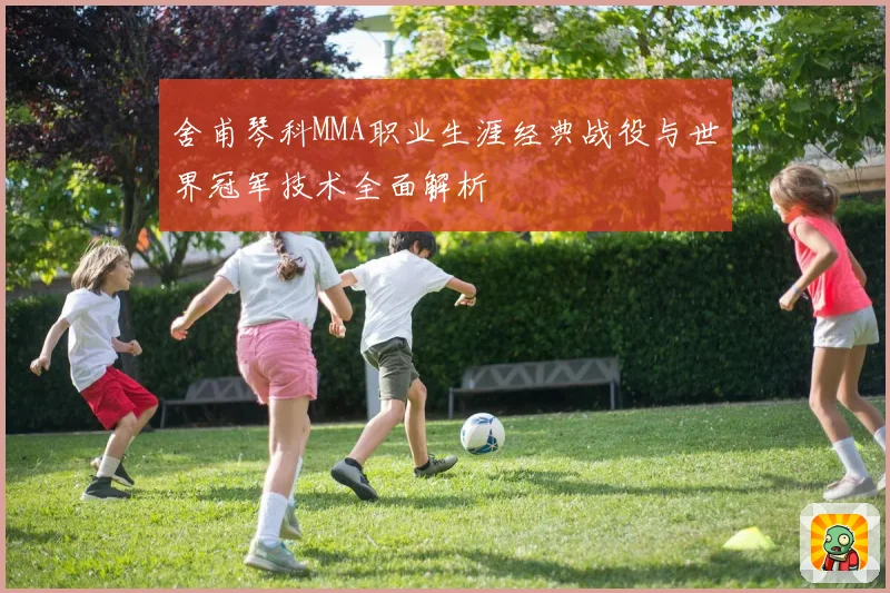 舍甫琴科MMA职业生涯经典战役与世界冠军技术全面解析