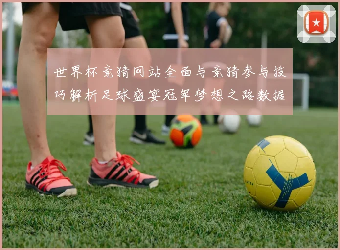 世界杯竞猜网站全面与竞猜参与技巧解析足球盛宴冠军梦想之路数据研判