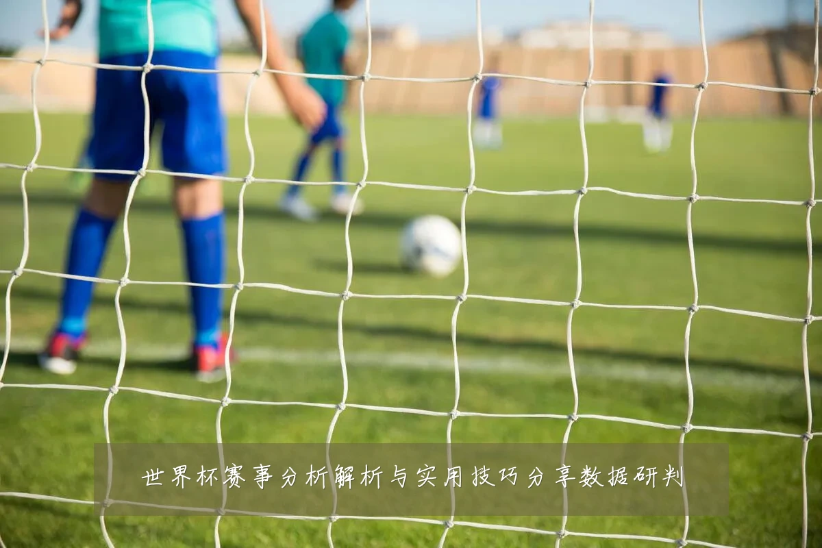 世界杯赛事分析解析与实用技巧分享数据研判