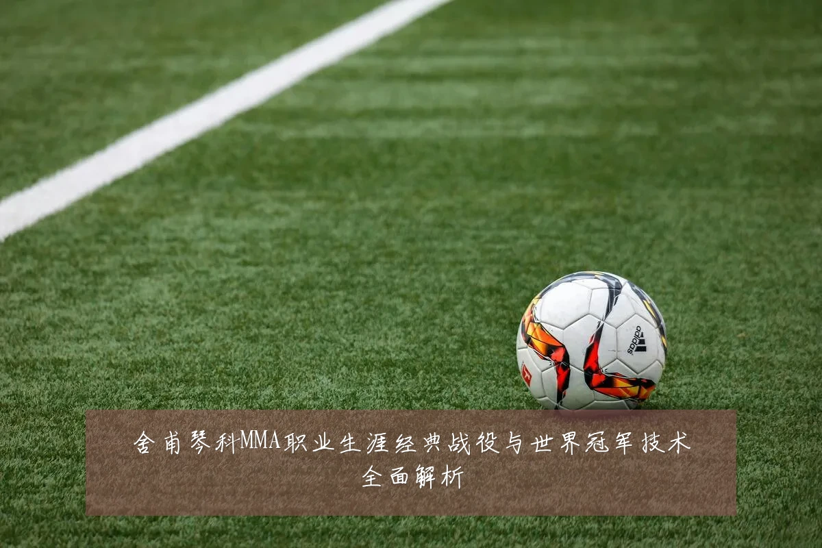 舍甫琴科MMA职业生涯经典战役与世界冠军技术全面解析